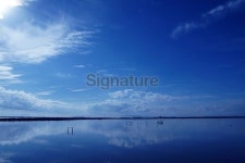 blue sky, sun, clouds and flamingos 이미지 (533256429) - 게티이미지뱅크 blue sky, sun, clouds and flamingos