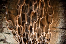 Rusty chains 이미지 (485870926) - 게티이미지뱅크 Rusty chains