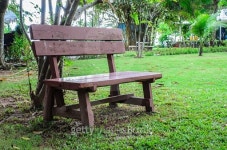 Bench in the summer park 이미지 (496857096) - 게티이미지뱅크 Bench in the summer park