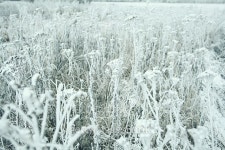 Snowy winter road in a field 이미지 (487544140) - 게티이미지뱅크 Snowy winter road in a field