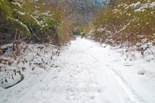 hiking road with snow in mountain 이미지 (531425195) - 게티이미지뱅크 hiking road with snow in mountain