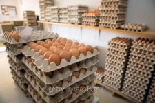 Many eggs 이미지 (475247326) - 게티이미지뱅크 Many eggs