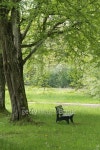 벤치 포레스트(Bench forest) | Park Bench in a forest 이미지 (480646594) - 게티이미지뱅크 Park Bench in a forest