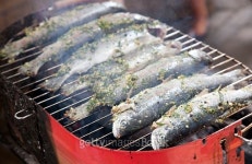 Fried barbecue grill trout 이미지 (498945874) - 게티이미지뱅크 Fried barbecue grill trout