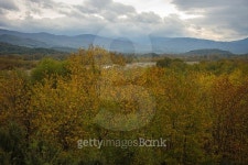 Colorful autumn fields, Livadia, Greece 이미지 (498976434) - 게티이미지뱅크 Colorful autumn fields, Livadia, Greece