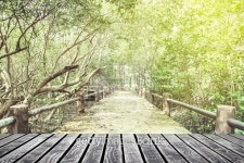old wood floor on  Bridge , in the forest in mangrove 이미지 (481009210) - 게티이미지뱅크 old wood floor on  Bridge , in the... 