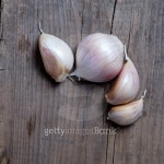 garlic 이미지 (495779566) - 게티이미지뱅크 garlic
