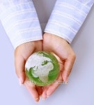 Hands holding a green earth, isolated on white background 이미지 (501063640) - 게티이미지뱅크 Hands holding a green earth... 
