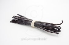 Three Quarter View of Vanilla Bean Bunch on White 이미지 (478006304) - 게티이미지뱅크 Three Quarter View of Vanilla Bean... 