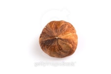 Hazelnuts on the white background 이미지 (471660502) - 게티이미지뱅크 Hazelnuts on the white background