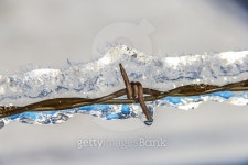 Iced Up 이미지 (490920844) - 게티이미지뱅크 Iced Up
