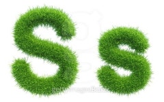 Letter S of green fresh grass isolated on a white 이미지... 게티이미지뱅크 Letter S of green fresh grass isolated on a white