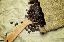 Coffee beans on wooden Spoon in  backgroud 이미지 (493331064) - 게티이미지뱅크 Coffee beans on wooden Spoon in  backgroud