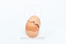 egg 이미지 (482079472) - 게티이미지뱅크 egg