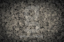 Vintage blur tiny green leaves background, Texture 이미지 (480939162) - 게티이미지뱅크 Vintage blur tiny green leaves... 