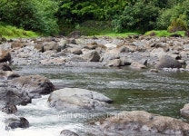 Tahiti. Mountain river 이미지 (475776598) - 게티이미지뱅크 Tahiti. Mountain river