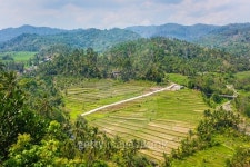 Rice field pattern in Bali 이미지 (495507908) - 게티이미지뱅크 Rice field pattern in Bali