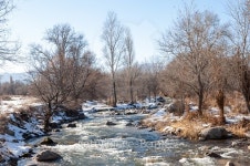 spring 이미지 (495808862) - 게티이미지뱅크 spring