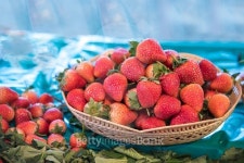 Strawberry 이미지 (501708406) - 게티이미지뱅크 Strawberry