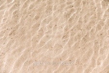 Seashore and small fish 이미지 (491632582) - 게티이미지뱅크 Seashore and small fish