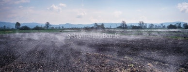 Hot field panorama 이미지 (471855200) - 게티이미지뱅크 Hot field panorama