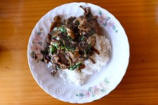 Rice topped with stir-fried duck and basil. 이미지 (466964314) - 게티이미지뱅크 Rice topped with stir-fried duck and basil.