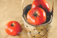 Juicy Tomatoes 이미지 (483410648) - 게티이미지뱅크 Juicy Tomatoes