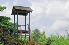 Watch Tower in Forest 이미지 (489788024) - 게티이미지뱅크 Watch Tower in Forest