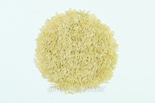 rice 이미지 (496544430) - 게티이미지뱅크 rice