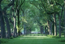 Central Park 이미지 (465965066) - 게티이미지뱅크 Central Park