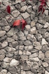 Old wall cracked texture 이미지 (467539902) - 게티이미지뱅크 Old wall cracked texture