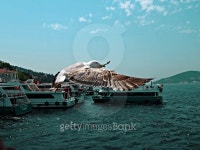 seagull in the air with wings stretched 이미지 (484222056) - 게티이미지뱅크 seagull in the air with wings stretched