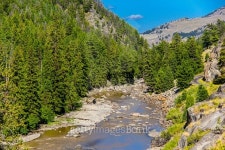 riverbanks 이미지 (495212776) - 게티이미지뱅크 riverbanks