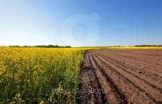 agriculture 이미지 (475750590) - 게티이미지뱅크 agriculture