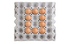 Sort eggs as the number zero in the paper tray. 이미지 (502886032) - 게티이미지뱅크 Sort eggs as the number zero in the paper... 