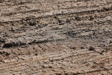 Soil 이미지 (471335996) - 게티이미지뱅크 Soil