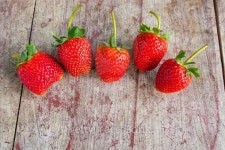Fresh strawberries 이미지 (476149438) - 게티이미지뱅크 Fresh strawberries
