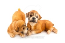 Two pretty dogs 이미지 (531885607) - 게티이미지뱅크 Two pretty dogs