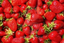 red strawberries 이미지 (493533174) - 게티이미지뱅크 red strawberries
