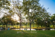 Beautiful green park 이미지 (465035052) - 게티이미지뱅크 Beautiful green park