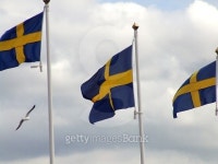 free as a bird 이미지 (491647524) - 게티이미지뱅크 free as a bird