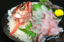 Sashimi of the red rockfish 이미지 (470851280) - 게티이미지뱅크 Sashimi of the red rockfish
