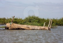 Tonle Sap 이미지 (483282840) - 게티이미지뱅크 Tonle Sap