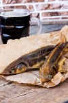 Hot smoked sturgeon with beer 이미지 (479306064) - 게티이미지뱅크 Hot smoked sturgeon with beer