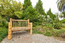 Botanical Park 이미지 (496308990) - 게티이미지뱅크 Botanical Park