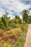 Botanical Park 이미지 (496308822) - 게티이미지뱅크 Botanical Park