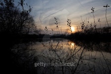 Park of tabueira,Aveiro Portugal 이미지 (537617509) - 게티이미지뱅크 Park of tabueira,Aveiro Portugal
