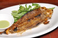 Grilled Boxfish 이미지 (476027318) - 게티이미지뱅크 Grilled Boxfish