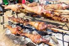 Baking lamb outdoors in Bulgaria 이미지 (486473502) - 게티이미지뱅크 Baking lamb outdoors in Bulgaria
