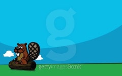 Cartoon Beaver 이미지 (484207754) - 게티이미지뱅크 Cartoon Beaver